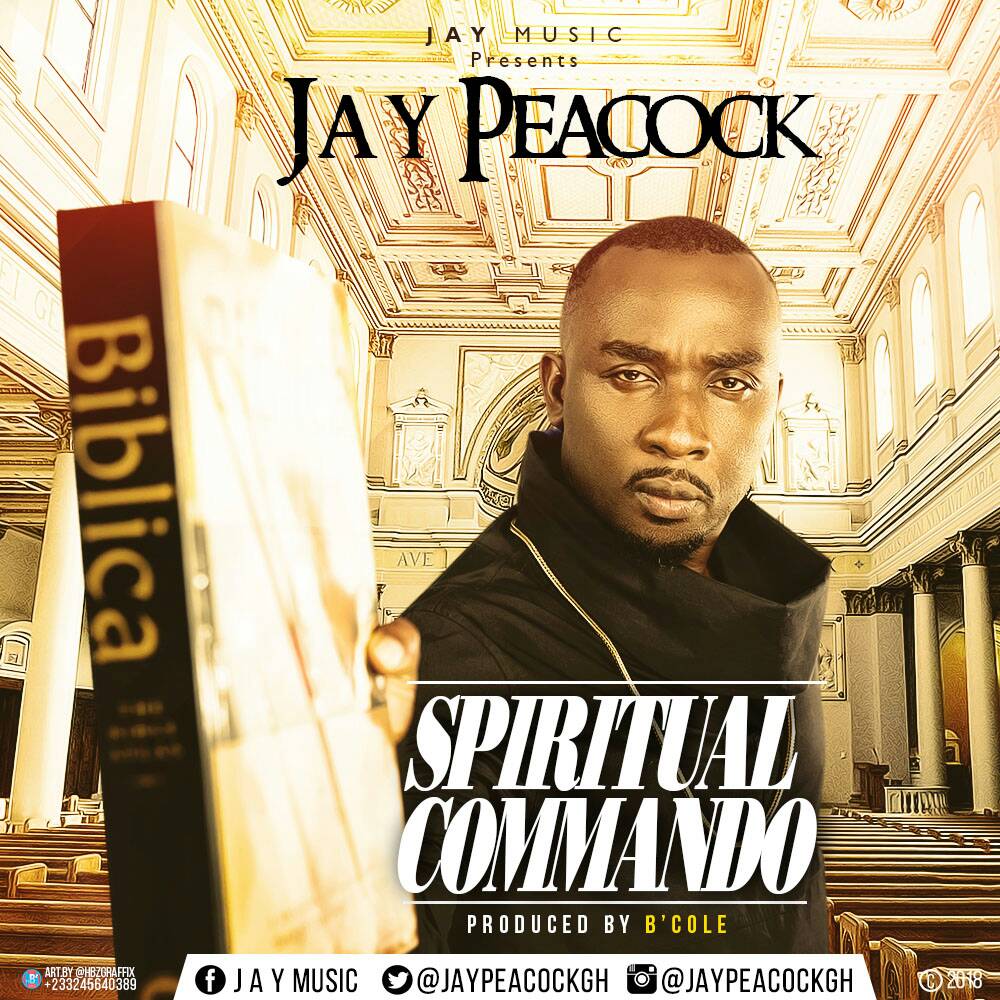 Jay Peacock - Spiritual Commando artwork